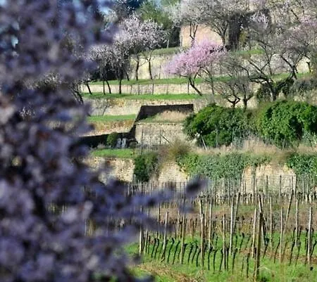 Alte Schulhaus Am Schlossberg Neustadt an der Weinstrasse