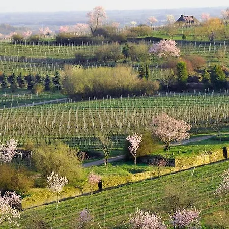 Alte Schulhaus Am Schlossberg Neustadt an der Weinstrasse