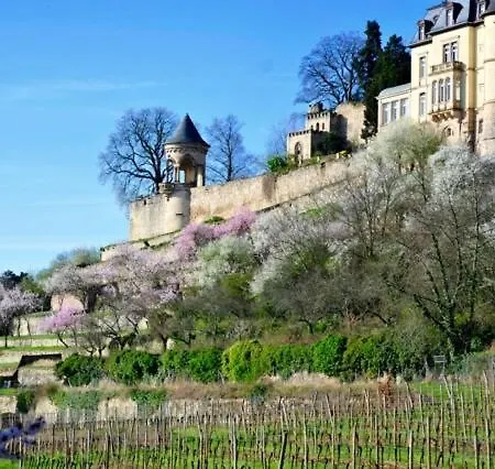 Alte Schulhaus Am Schlossberg Neustadt an der Weinstrasse