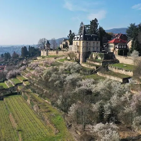 Alte Schulhaus Am Schlossberg Apartment *